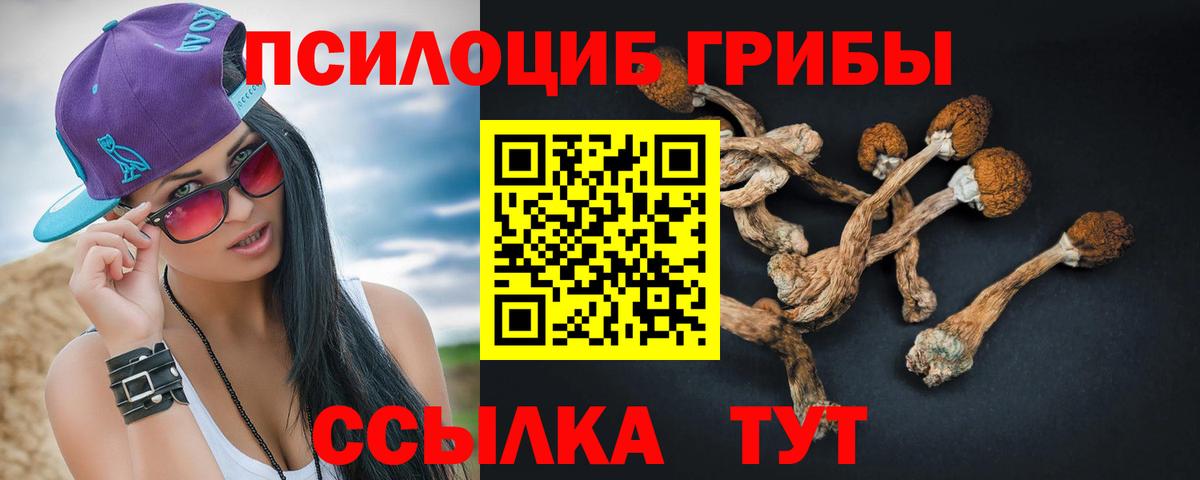 Галлюциногенные грибы Cubensis Камень-на-Оби